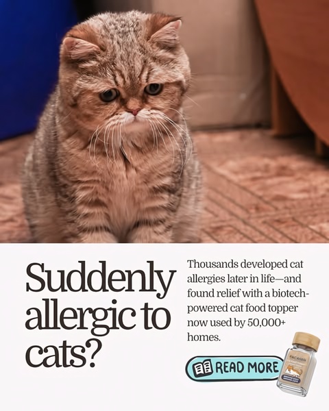 A static 4:5 ad creative featuring a sad cat and a clear problem-solution hook targeting pet owners dealing with new allergies.